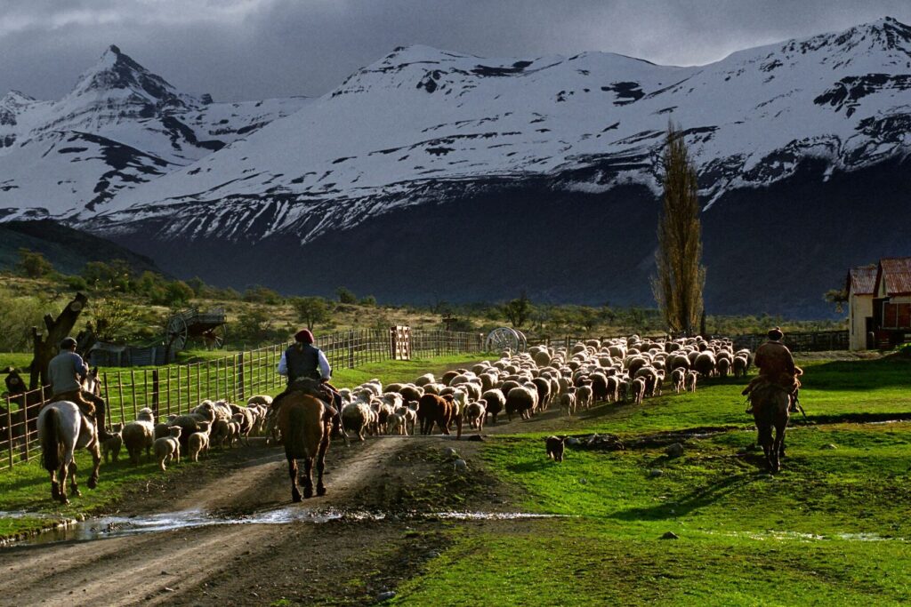 estancia nibepo aike