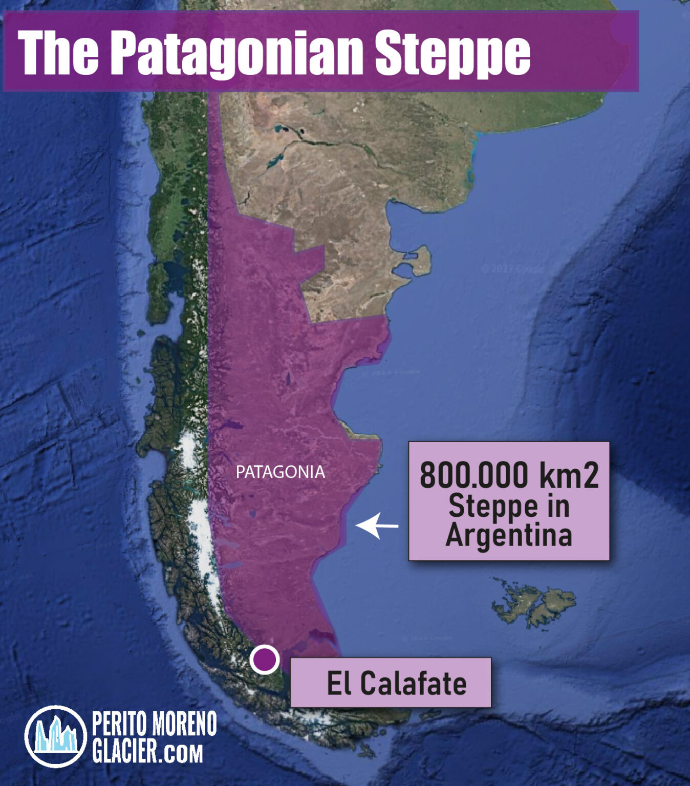 The Patagonian Steppe