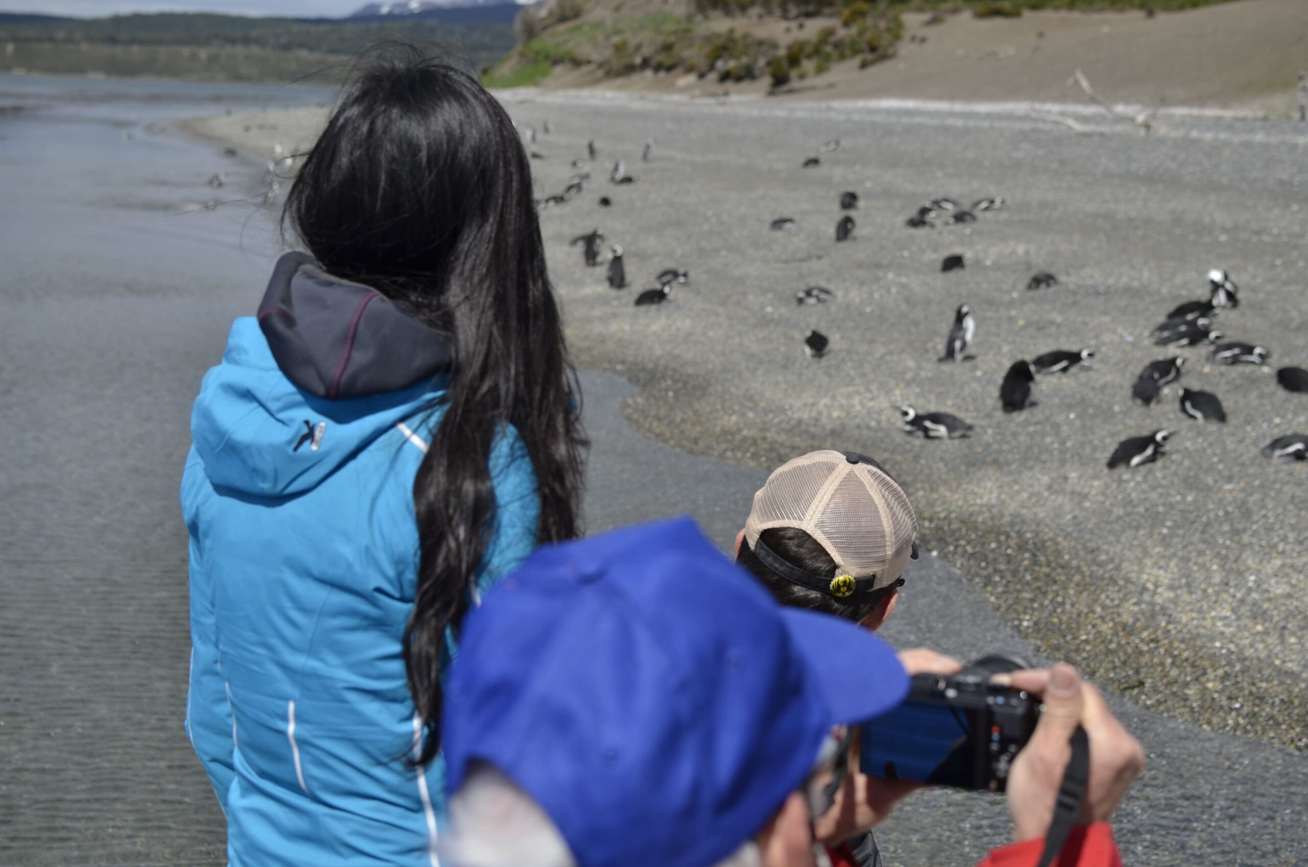 navigation to martillo island and penguin watching