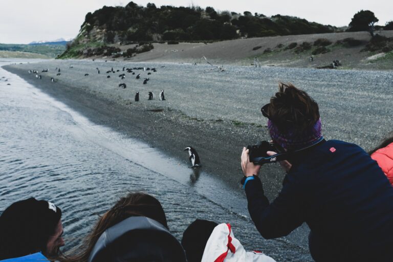 gable island adventure
