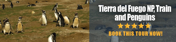 TIERRA DEL FUEGO, TRAIN AND PENGUINS