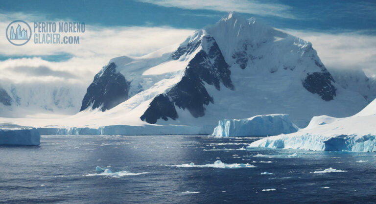 antarctica mesa de trabajo 1