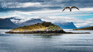 beagle channel isla lobos 3 mesa de trabajo 1