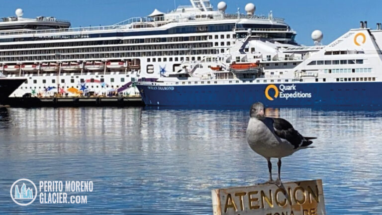 cruises to antarctica from ushuaia mesa de trabajo 1