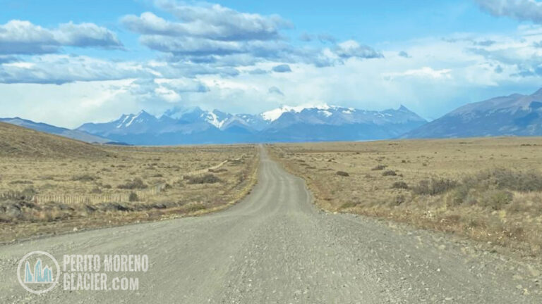 estepa patagonica 2 mesa de trabajo 1