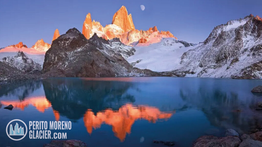 fitz roy 11