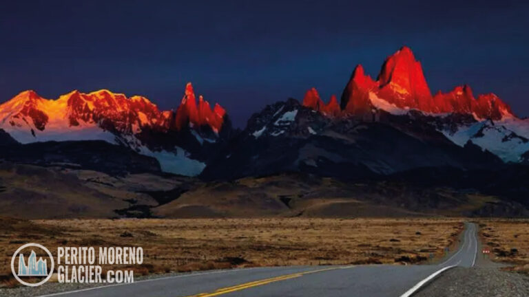 fitz roy 12