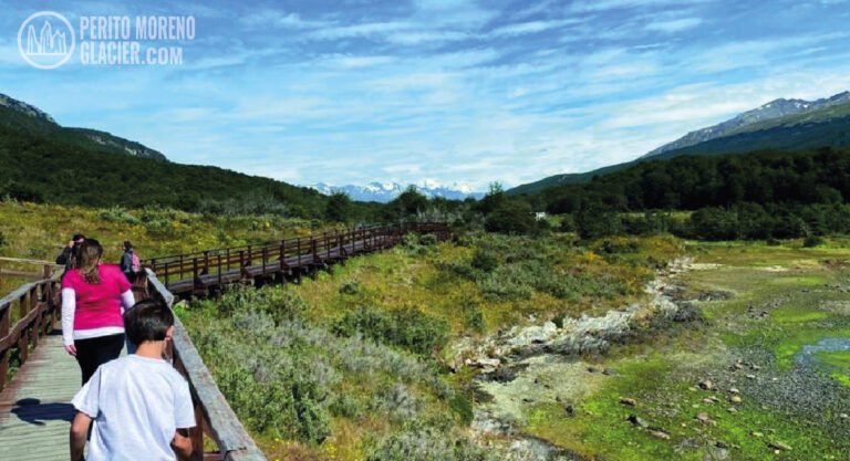 foto tierra del fuego np 2 mesa de trabajo 1