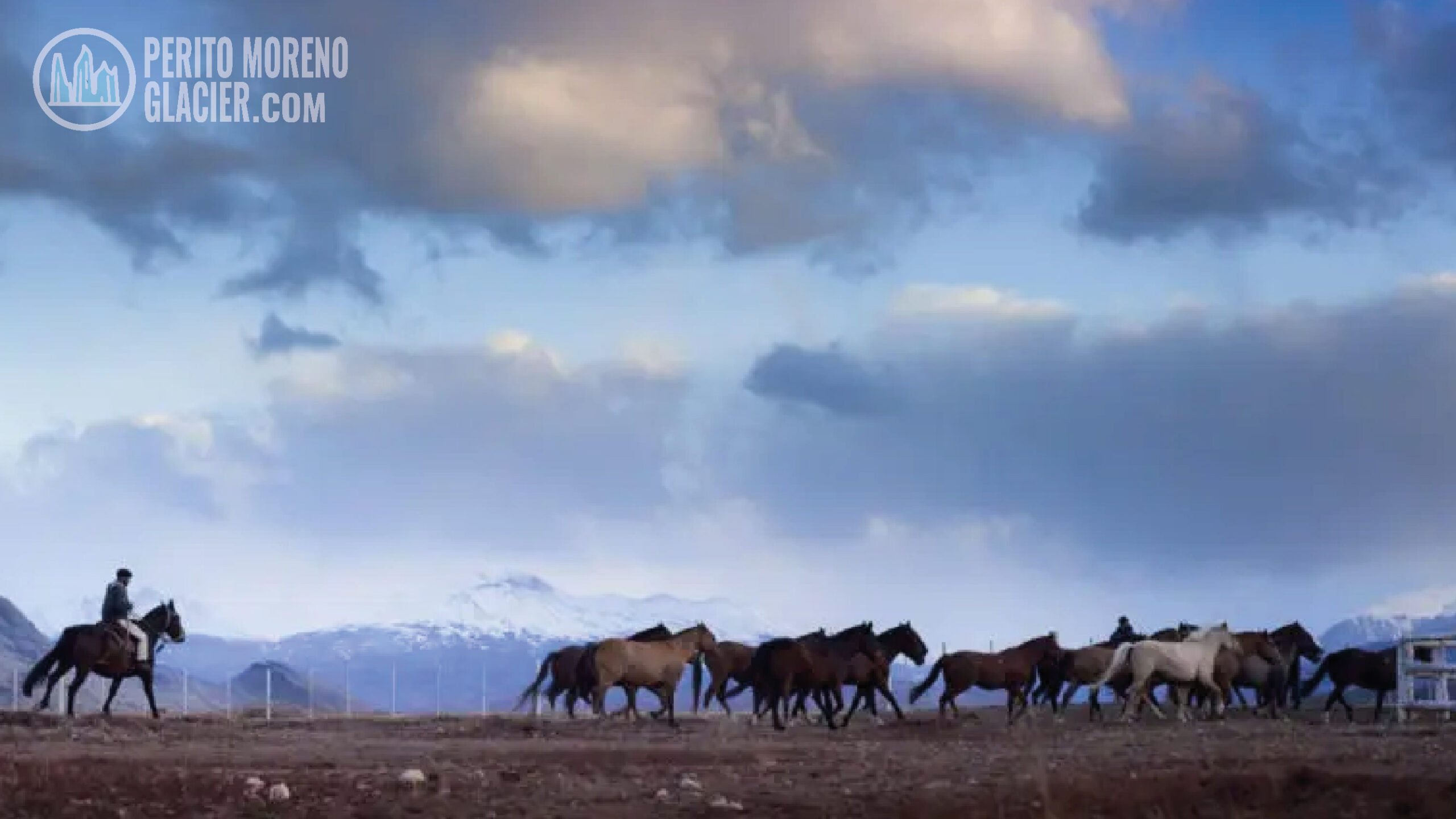 horseback riding estancia cristina 6