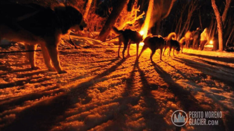 nieve y fuego 3