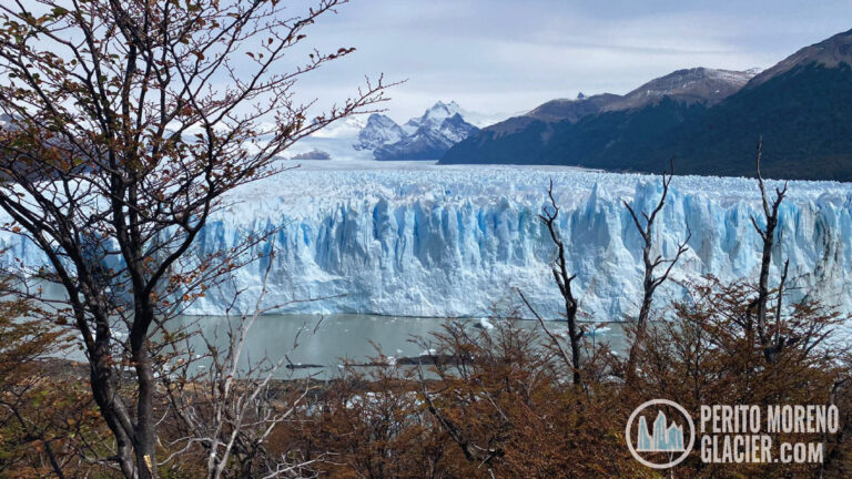 perito moreno glacier 2 mesa de trabajo 1