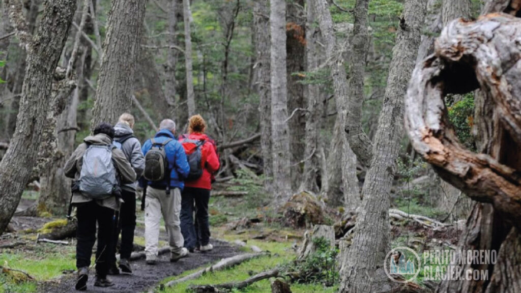 tierra del fuego national park trekking and canoes2