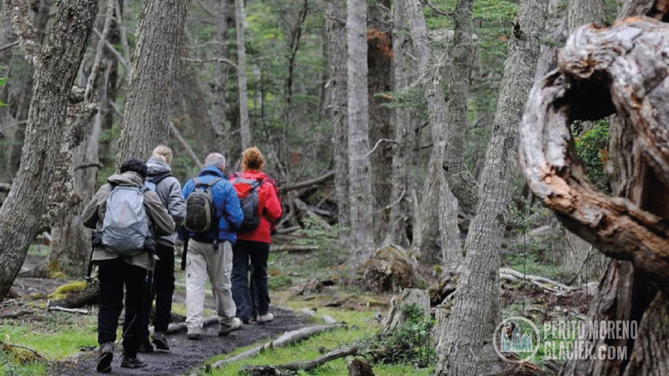 tierra del fuego national park trekking and canoes2