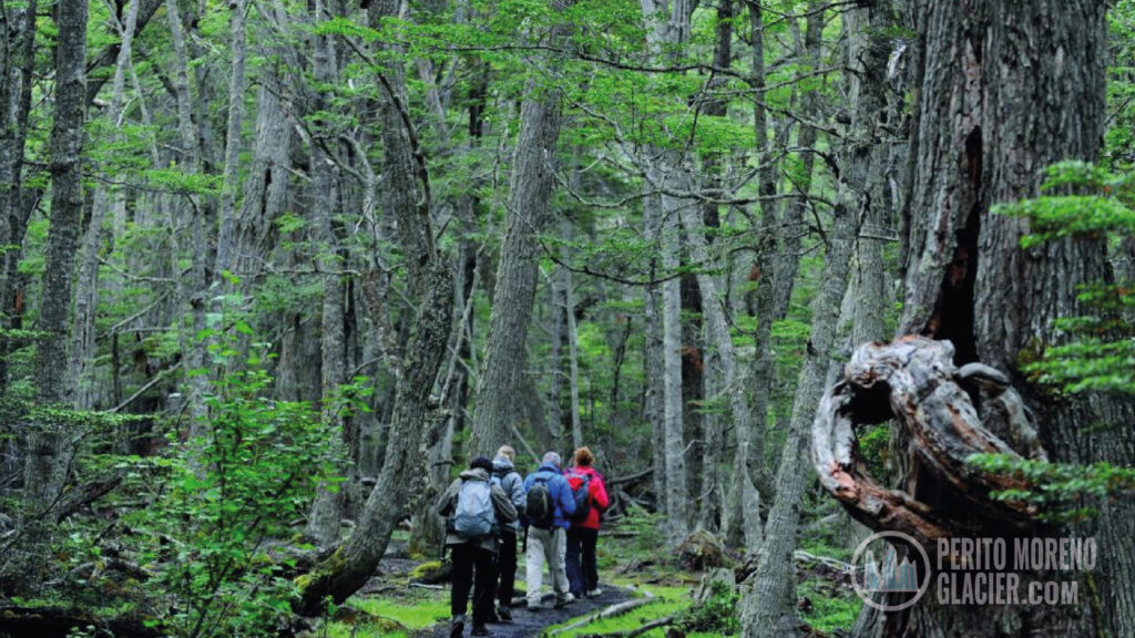 Tierra del Fuego National Park