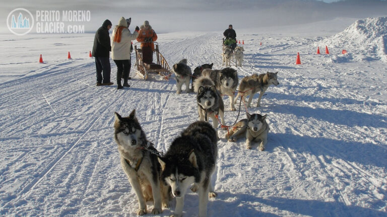 White Adventure Activity in Ushuaia