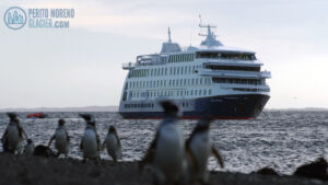 australis cruise 3