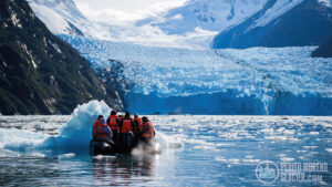 australis cruise 8