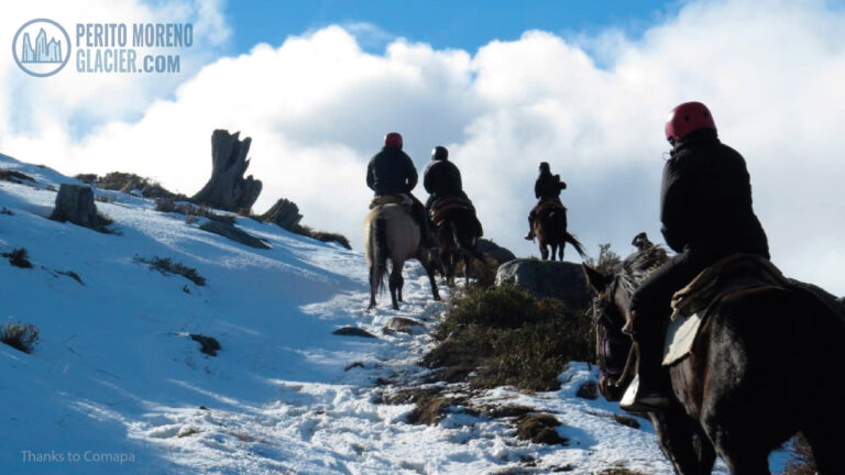 horseback riding to cerro dorotea