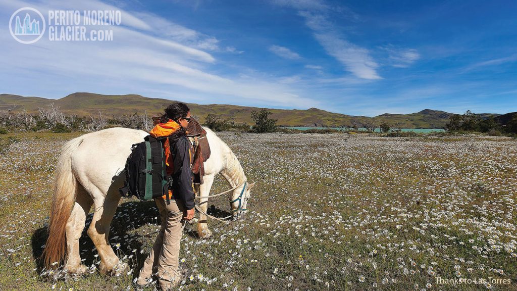 Horseback Riding in the Enchanted Valley (Valle Encantado