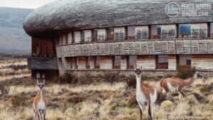 tierra patagonia 7