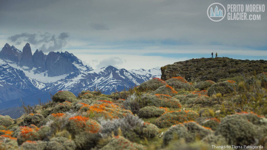 Tierra Patagonia, a wonderful luxury hotel in Torres del Paine National Park