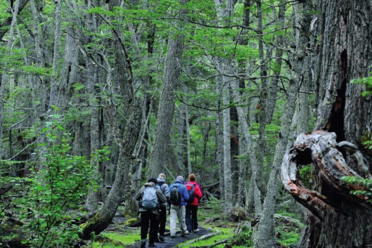 Tierra-del-Fuego-National-Park-1536x1024