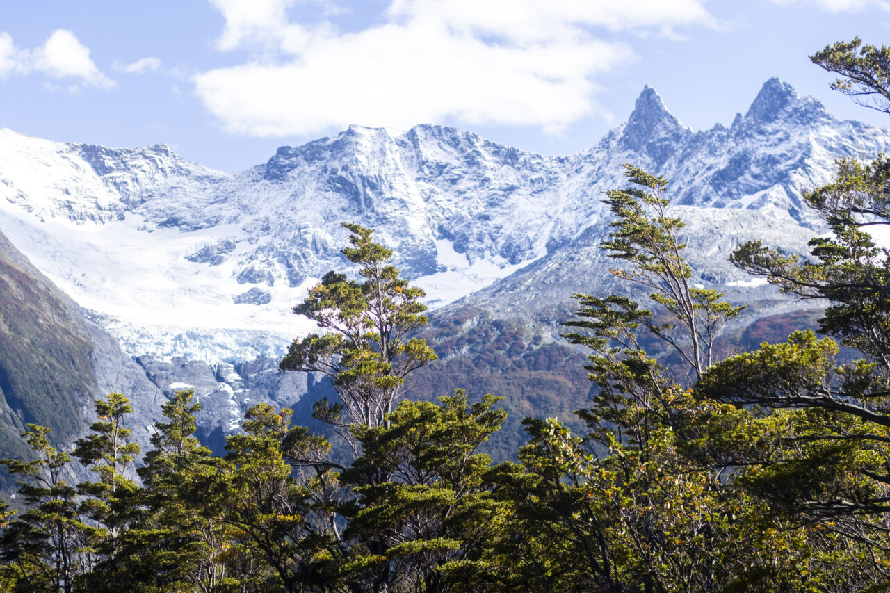 Mayo Spirit Trek (13)