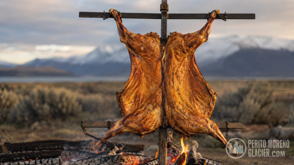 patagonian lamb photo