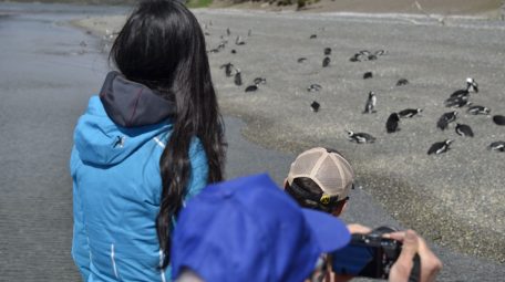 Navigation to Martillo Island and penguin watching