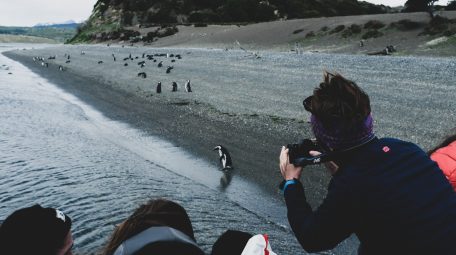 Gable Island Adventure