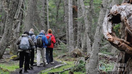 tierra del fuego national park trekking and canoes2